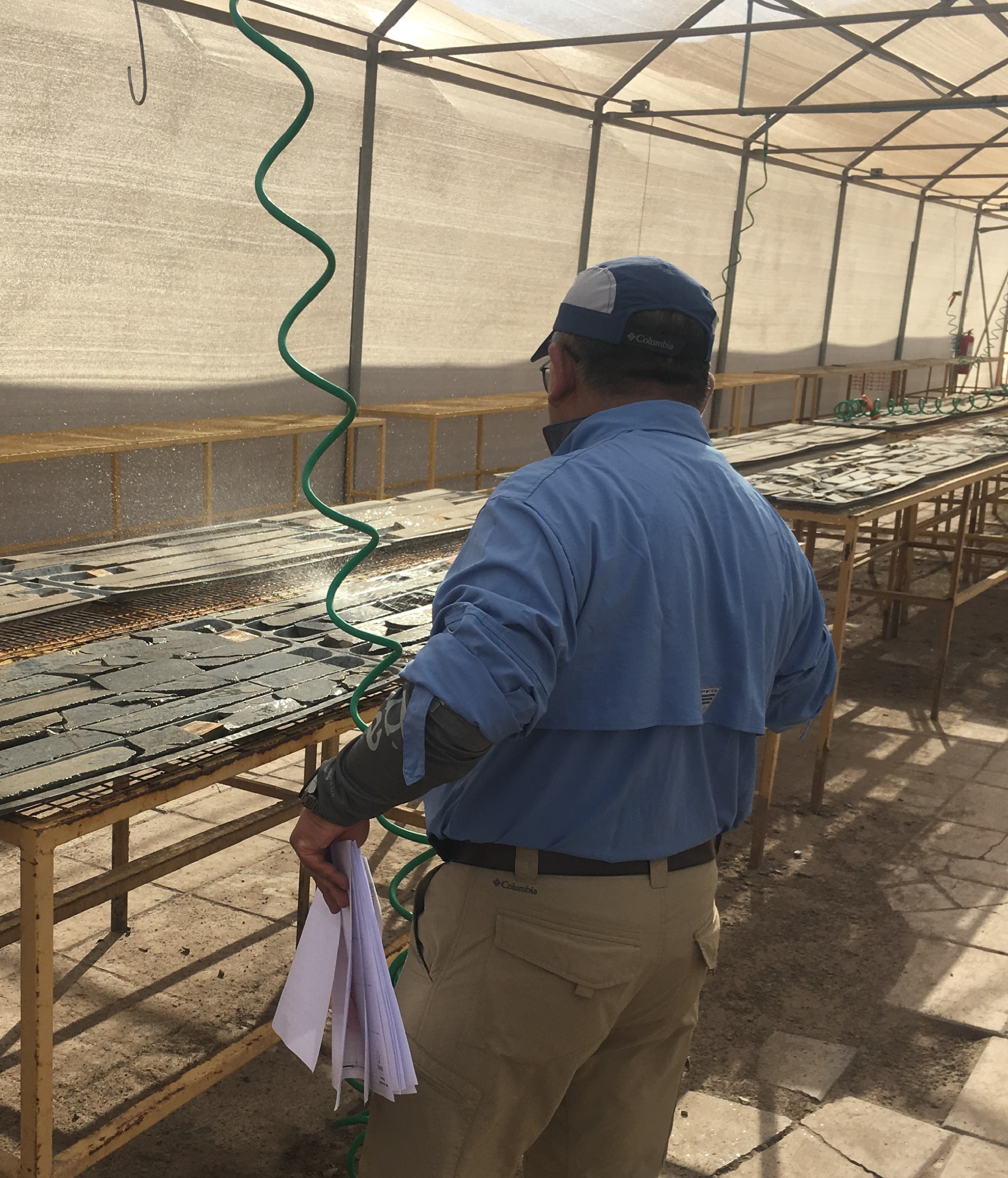 Validação de Dados